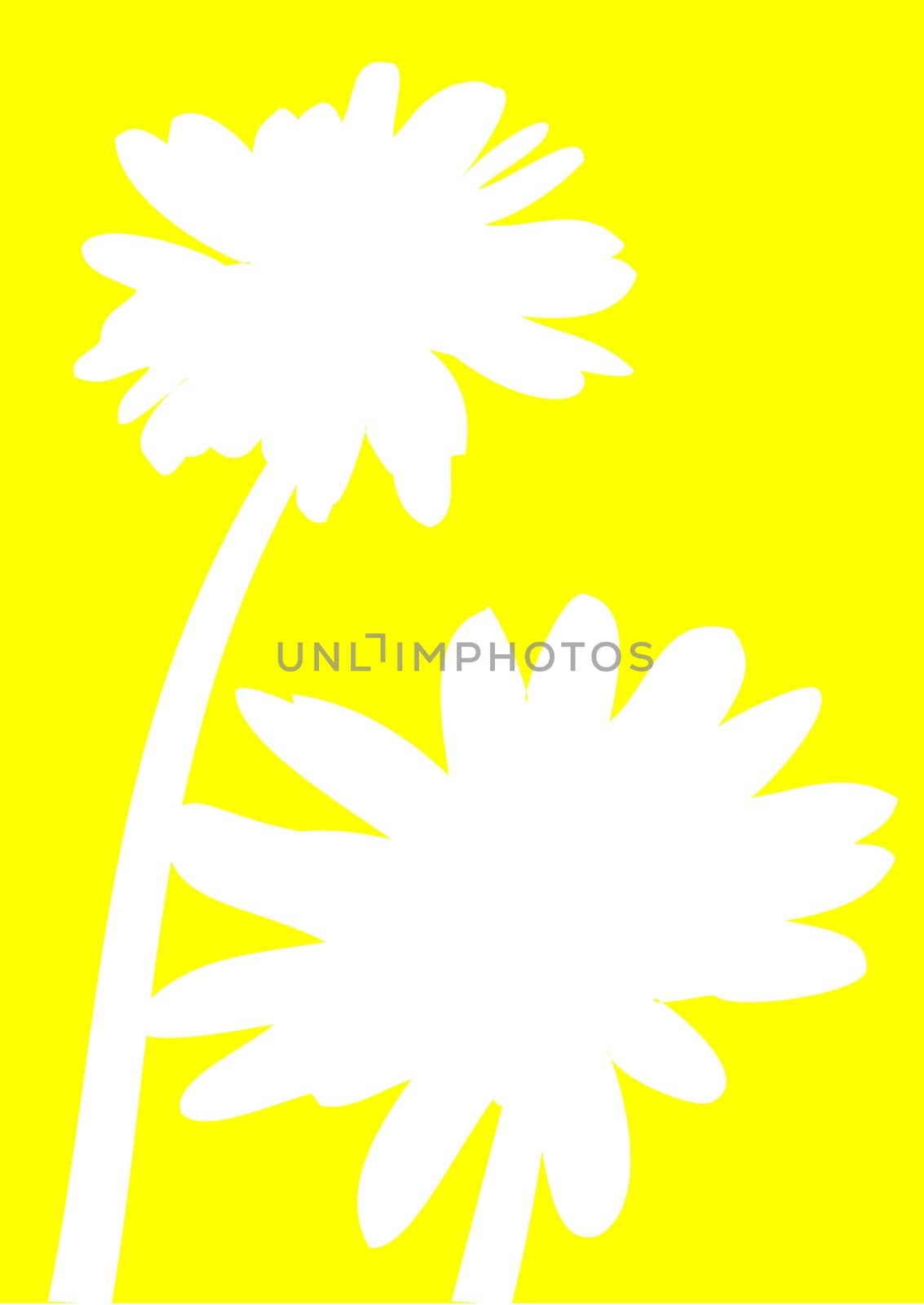 Silhouettes of daisies in white on a yellow background.