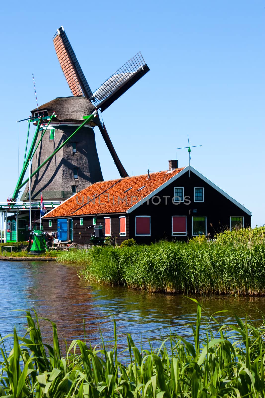 Mills in Holland, traditional and direct landmark of the country