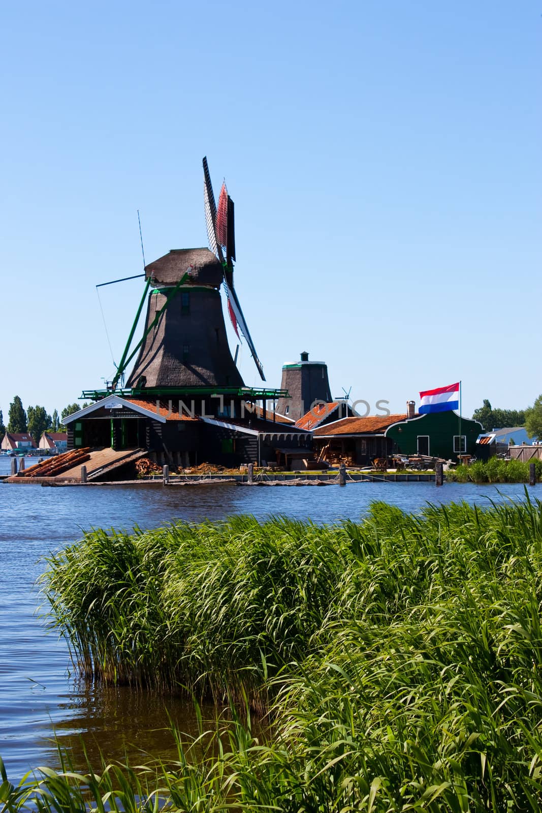 Mills in Holland, traditional and direct landmark of the country