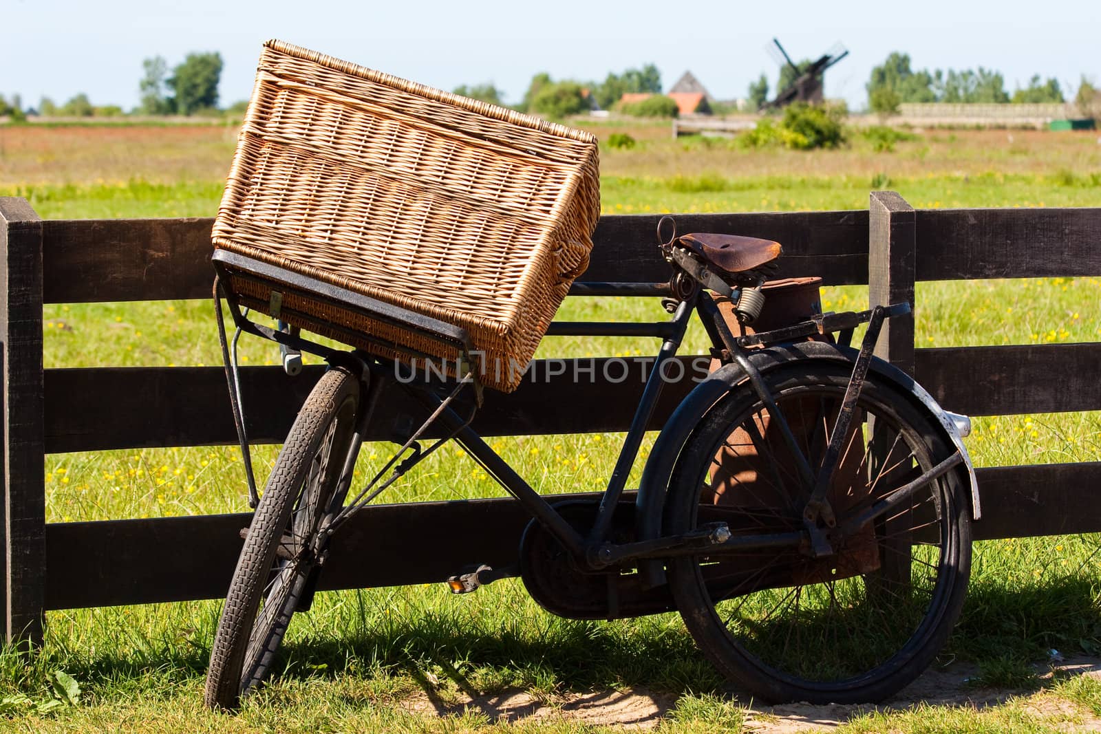 Clear and traditional landmark for Holland: bicycle and mills