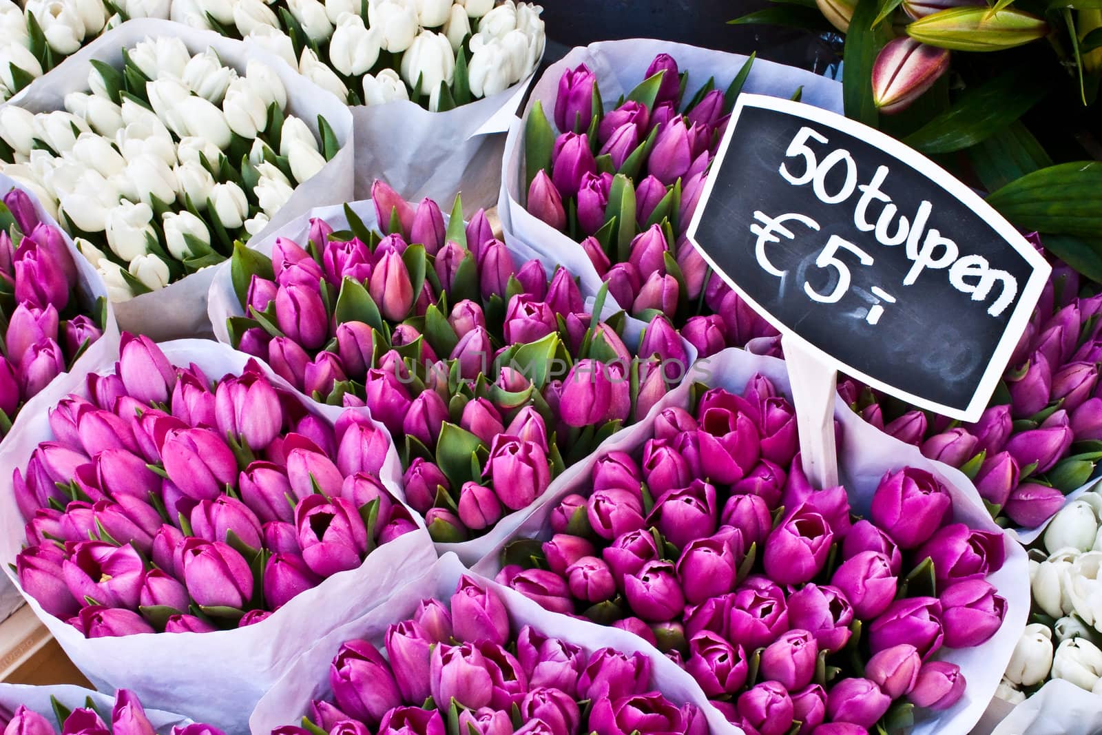 Detail of Amsterdam flowers market: the best tulips of the world