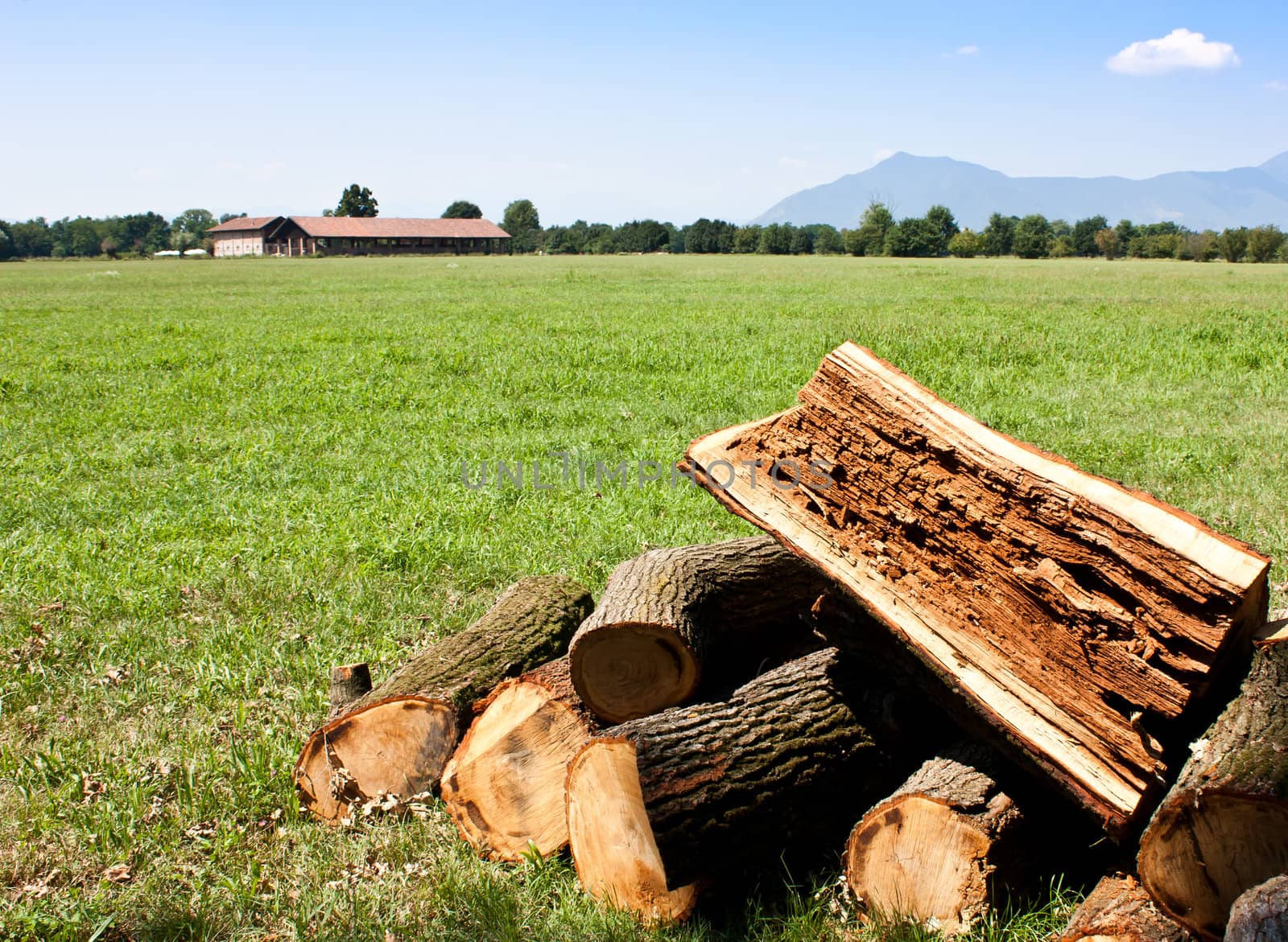 Pieces of wood with copy space, good for conceptual