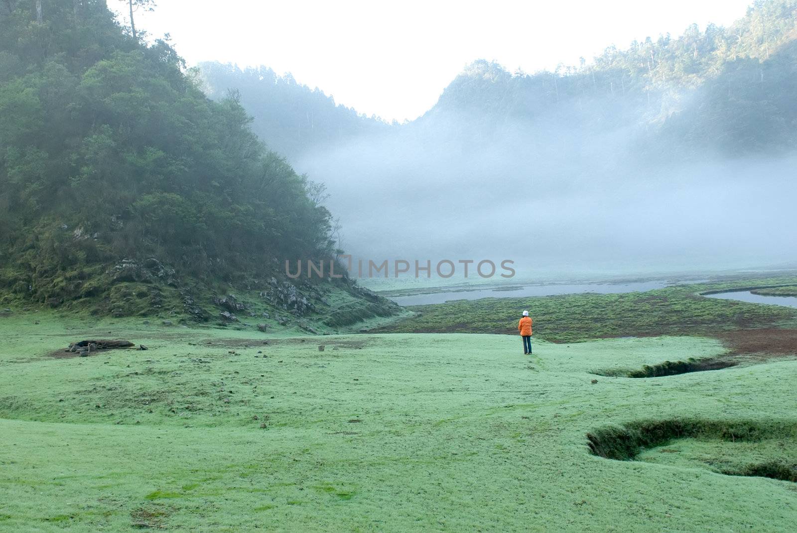 a womnan walk on the mist grassland by elwynn
