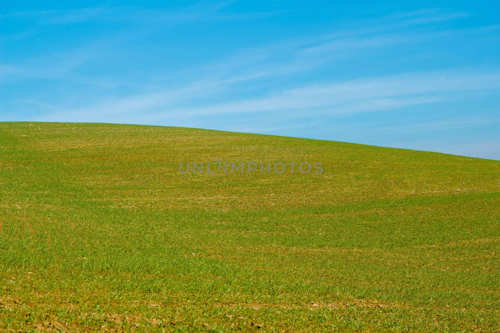Nice autumn field with clear horizont and blue sky