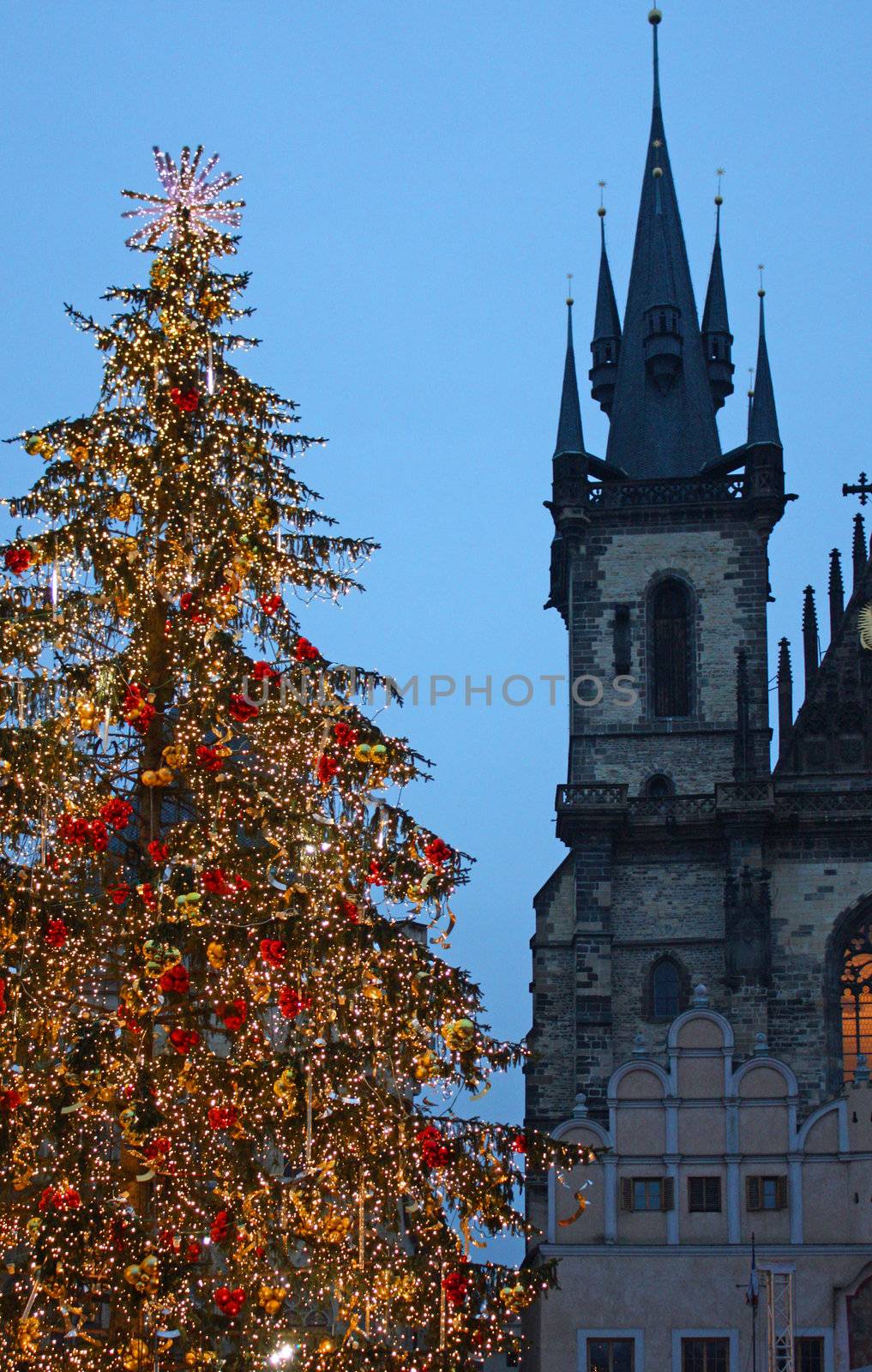 Christmas tree in Prague, in front of the Tyn Church