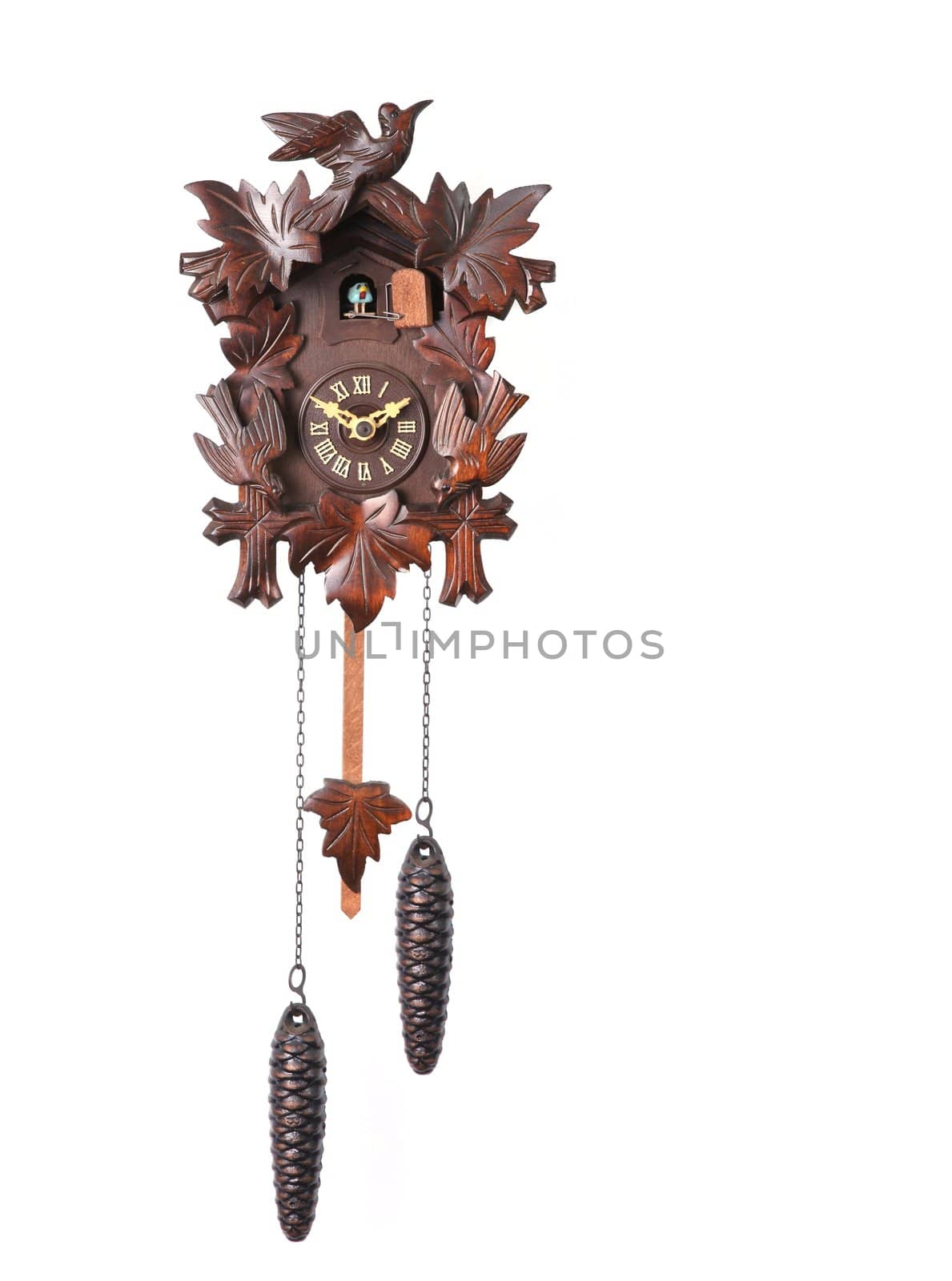 Cuckoo Clock Isolated on a White Background With Hanging Weights
