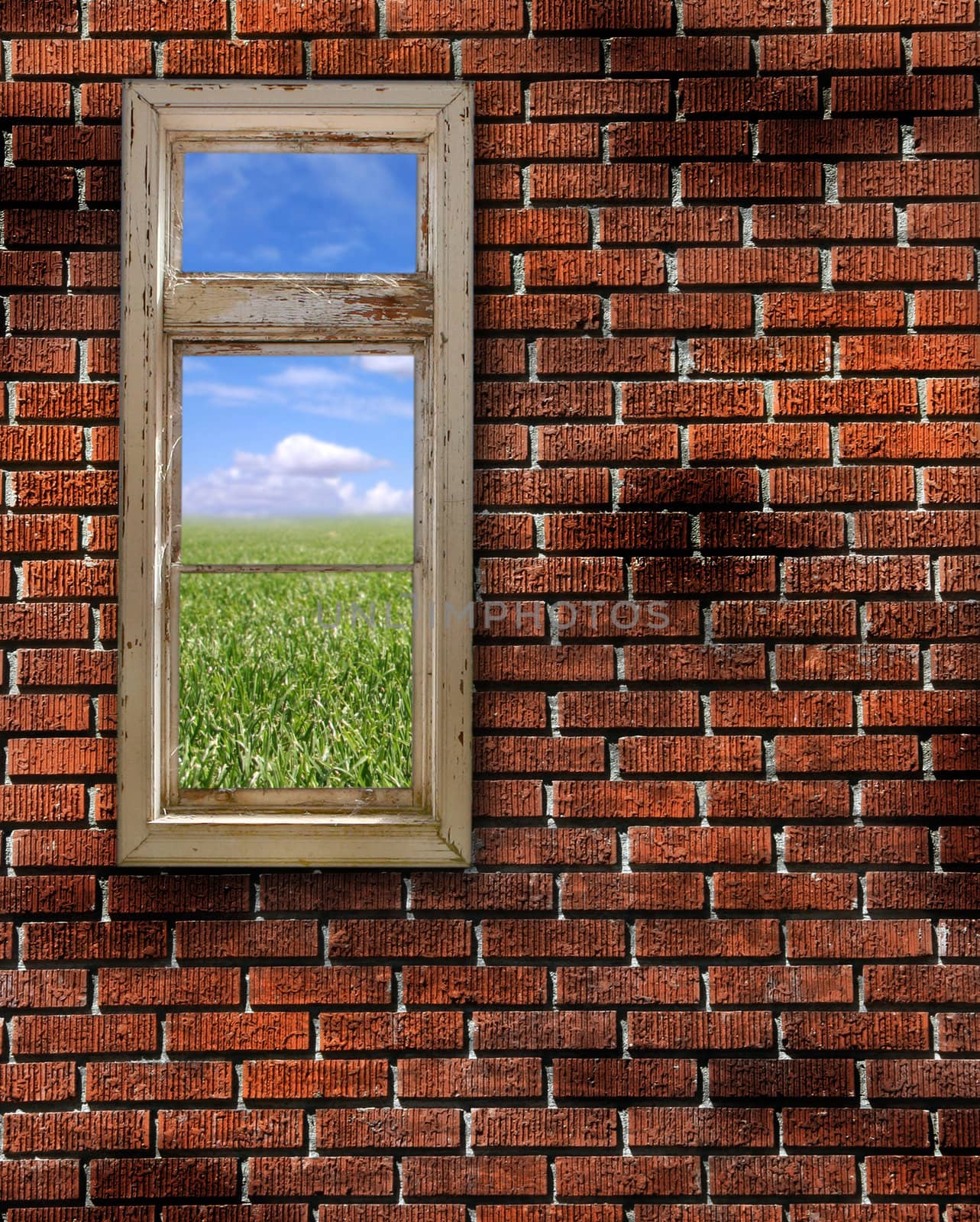 Red Brick Wall Grunge Textured Background With Beautiful View