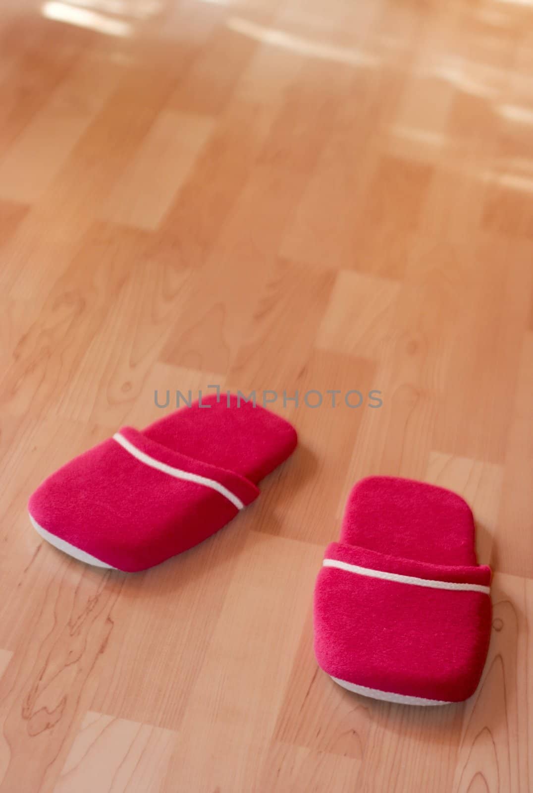 A pair of warm slippers on the parquet