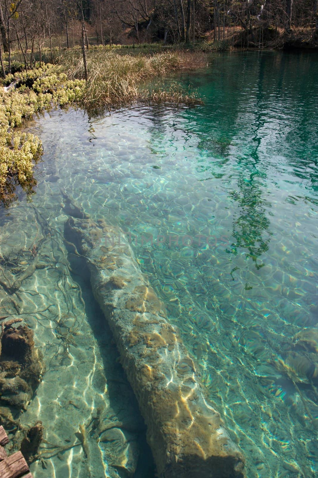 Waterscape at the Lakes of Plitvice, Croatia