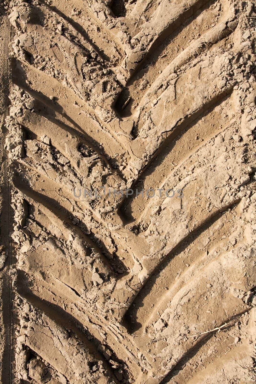 Tractor trail closeup on the soil