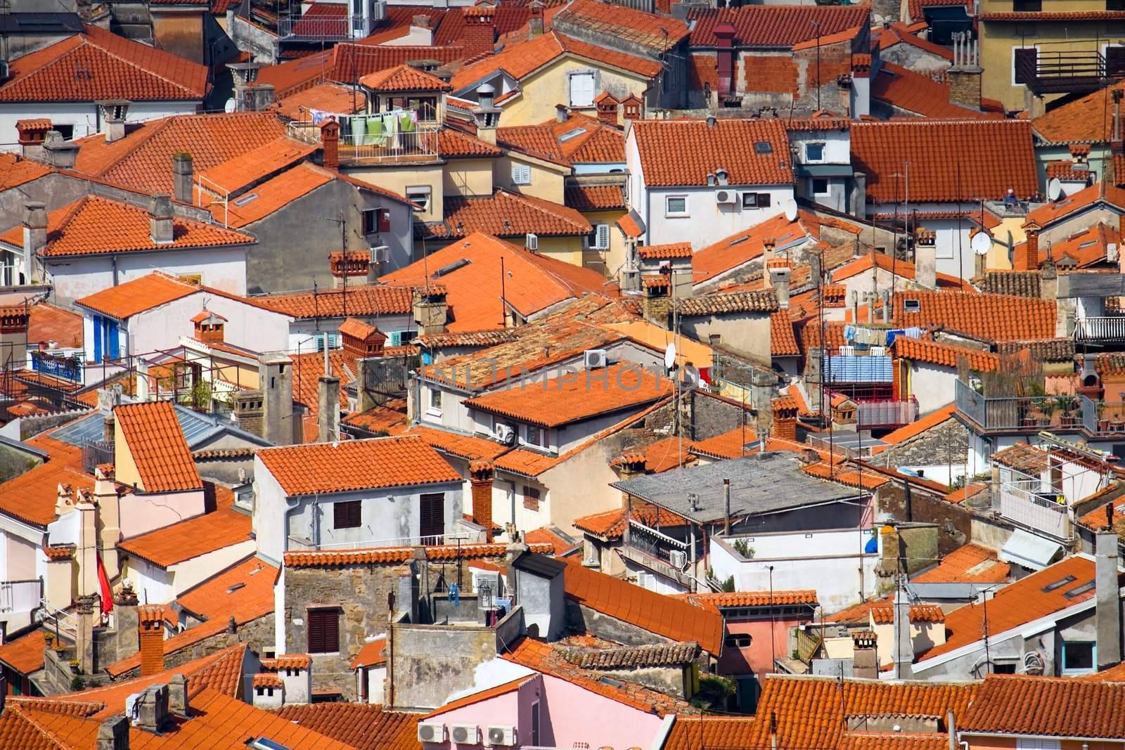 Roofs of a typical town in southern Europe (Piran)