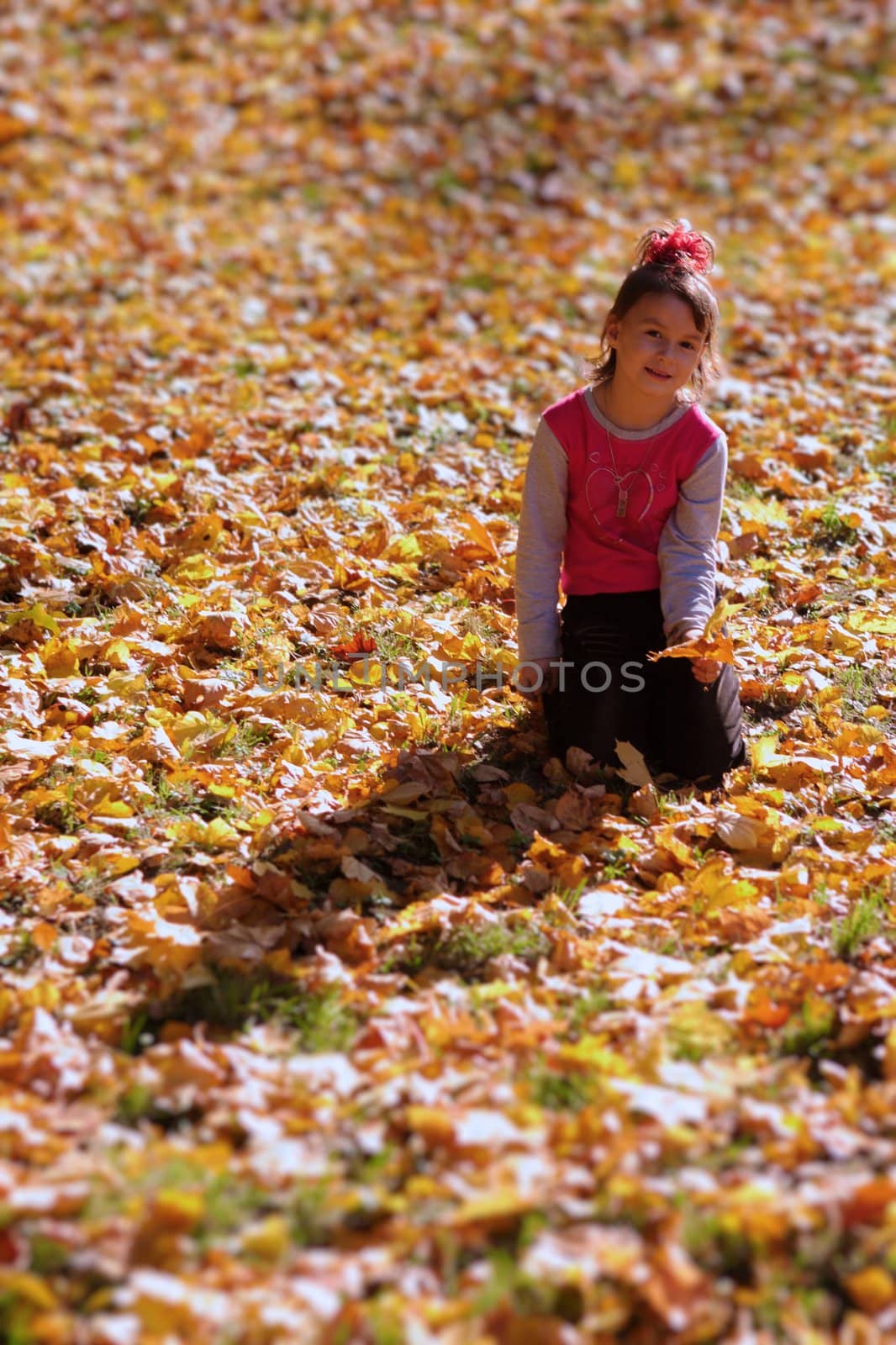 Calm smiling little girl sitting on bright colorful autumn leaves.