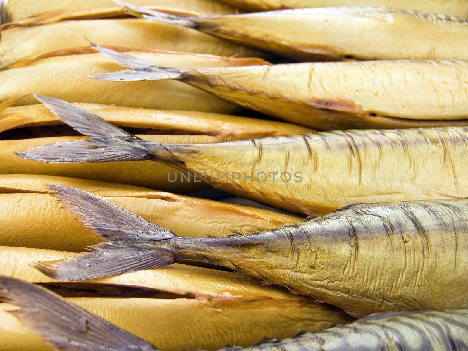 The beautiful big mackerels on a counter 