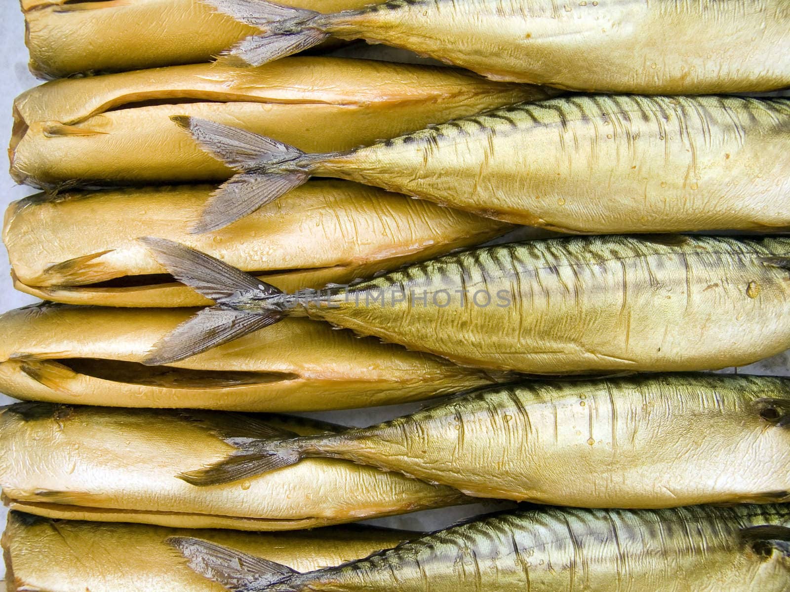 A pile of beautiful big mackerels on a counter