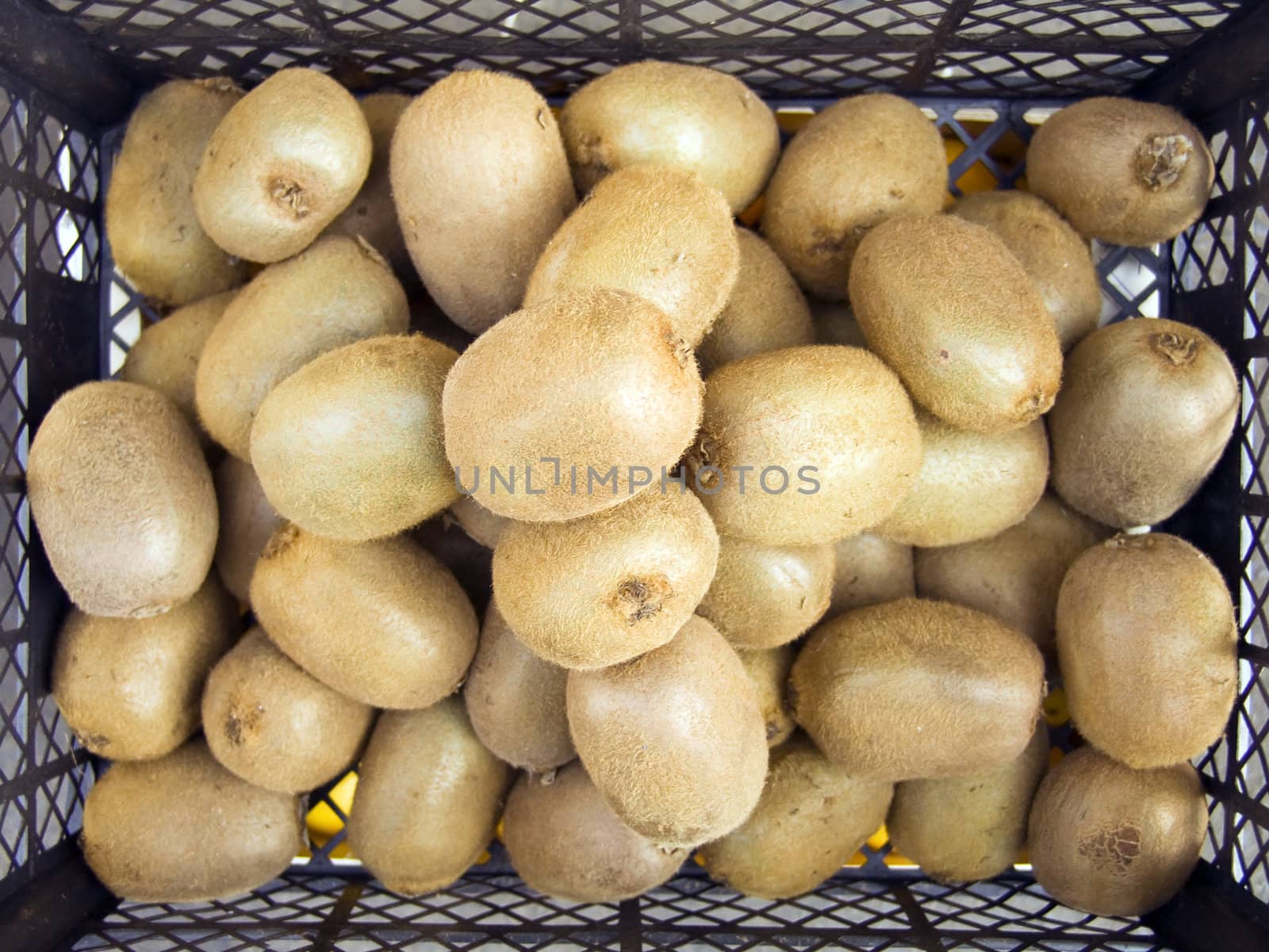 The beautiful kiwis on a counter