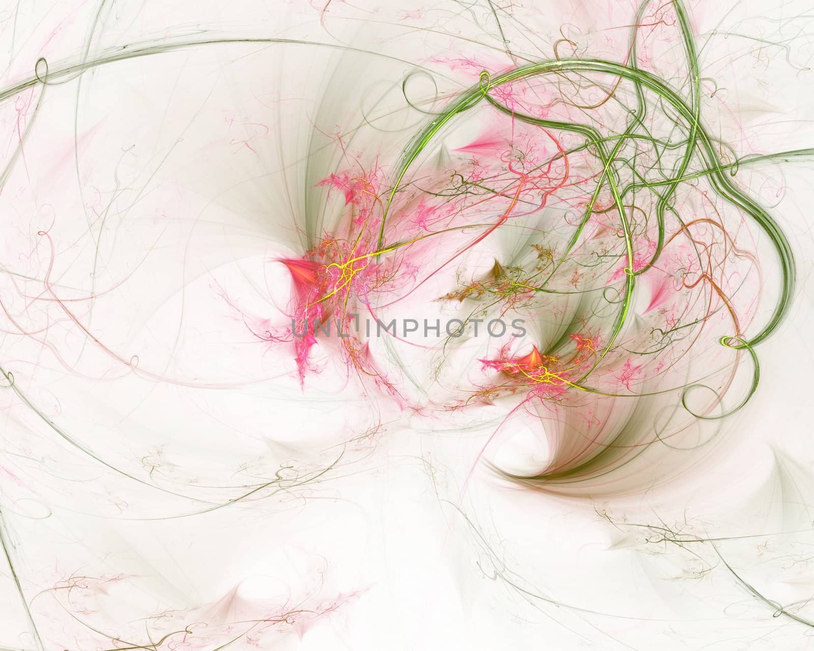 Floral Abstraction by liseykina