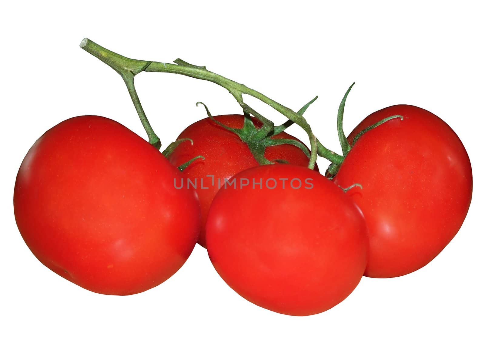 four tomatoe isolated on white, with clipping path