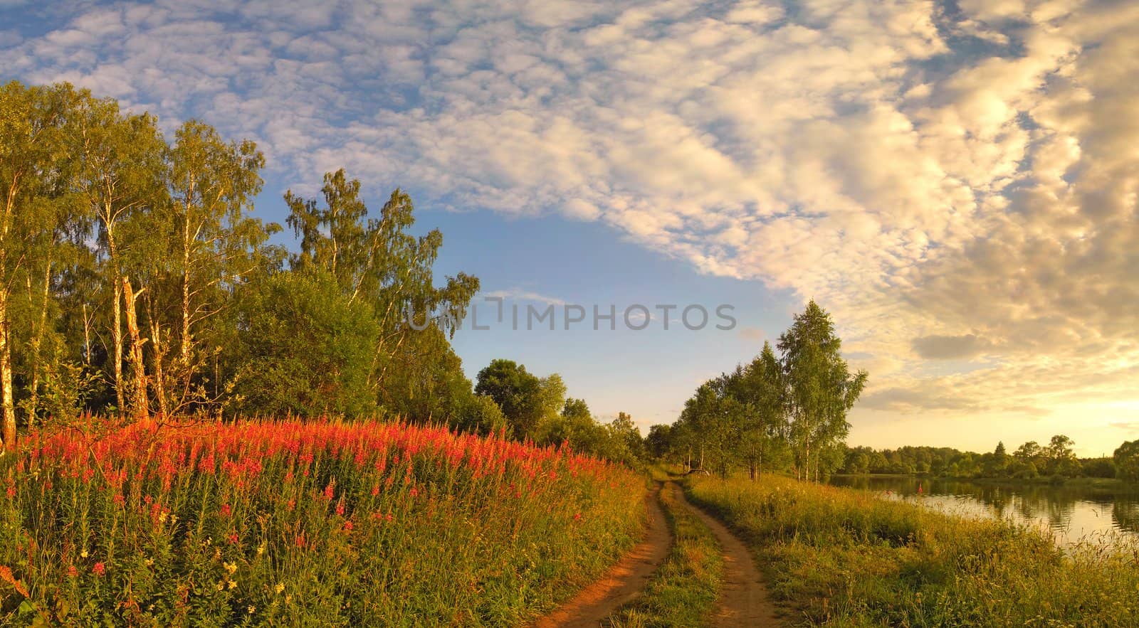 Panoramic image stitched from 8 images