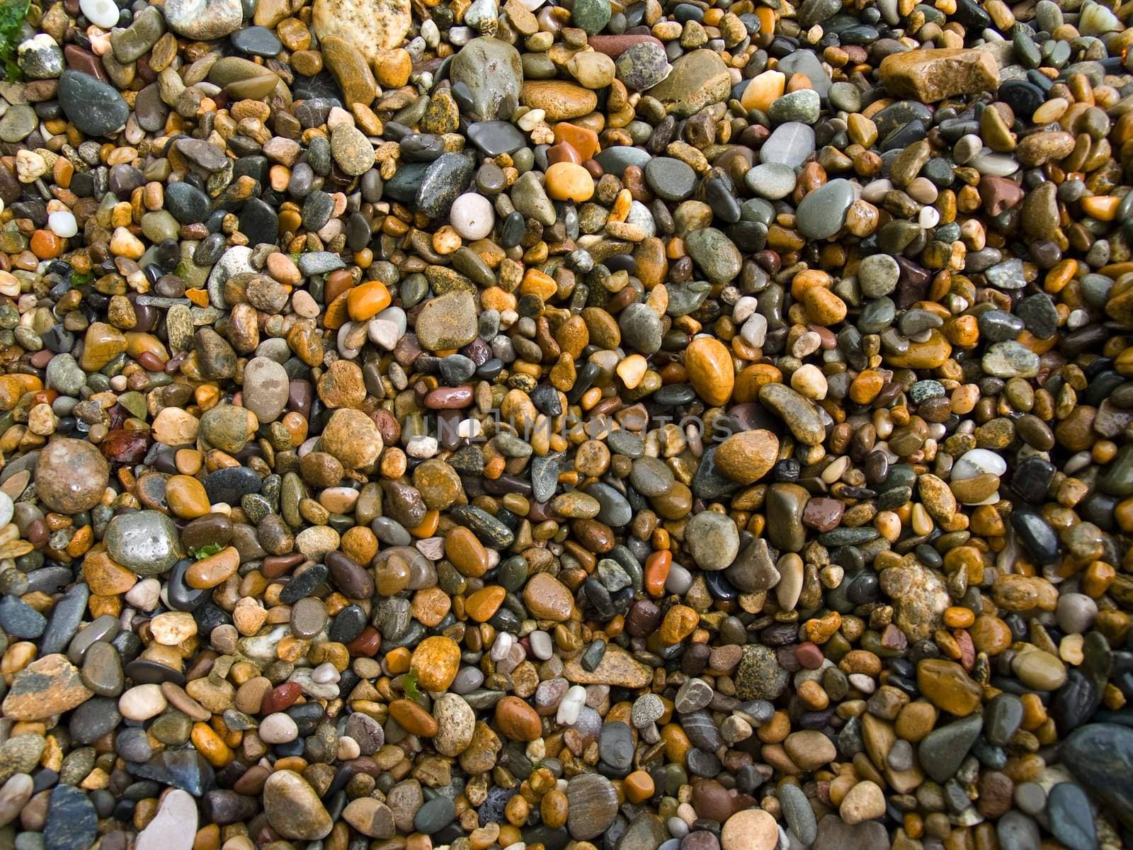 A lot of pebbles on a Black Sea beach