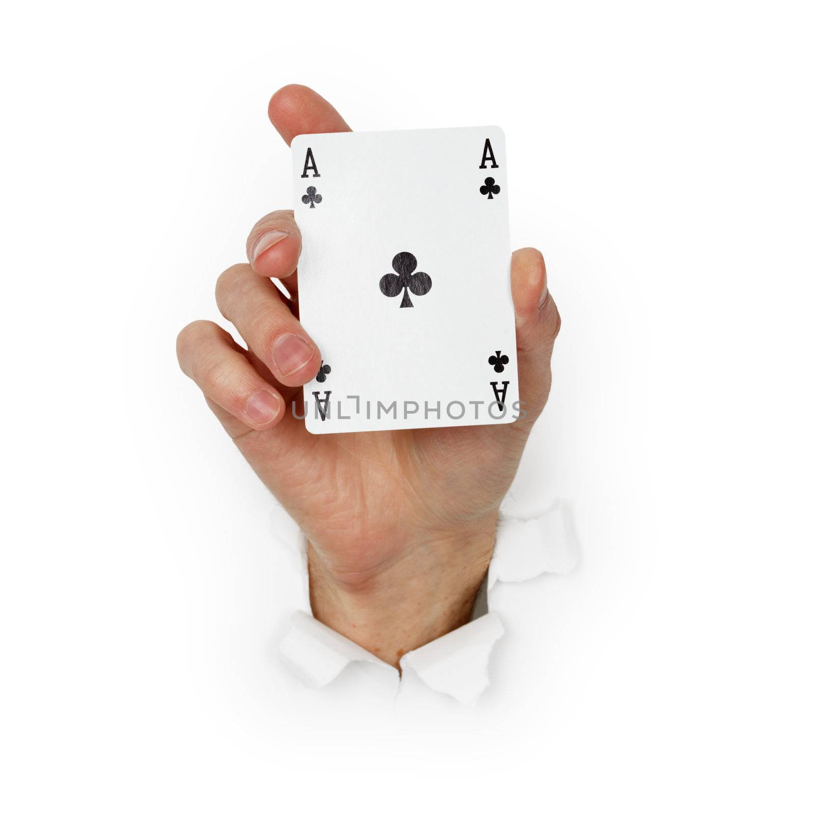 Hand holds ace of clubs isolated on white background by pzaxe