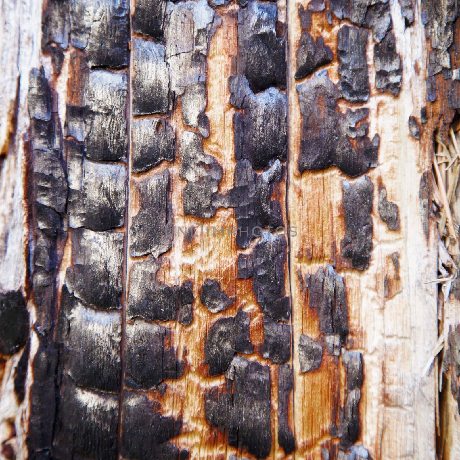 Charred surface of wood after fire by pzaxe