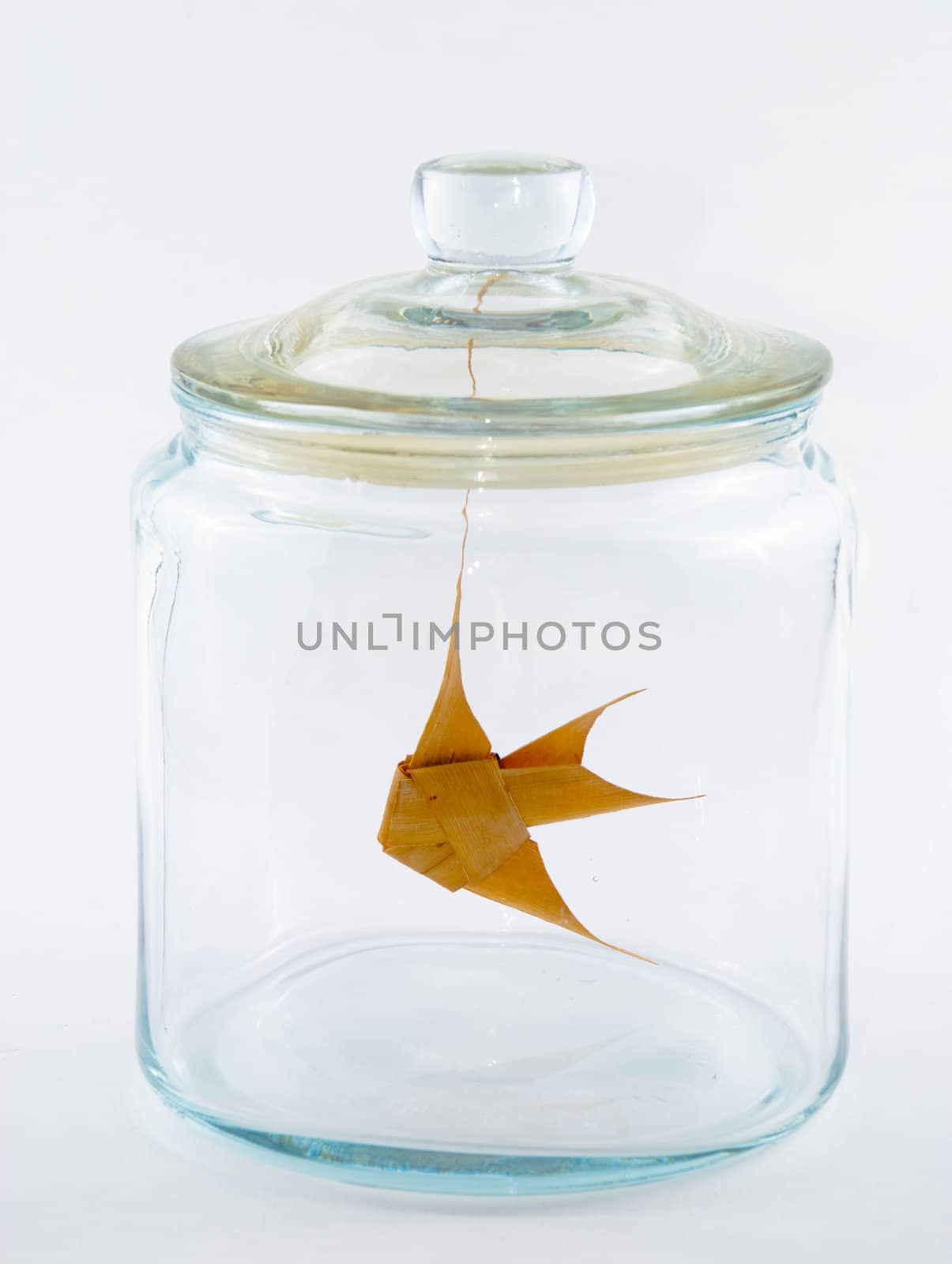 Fish in a glass jar by 300pixel