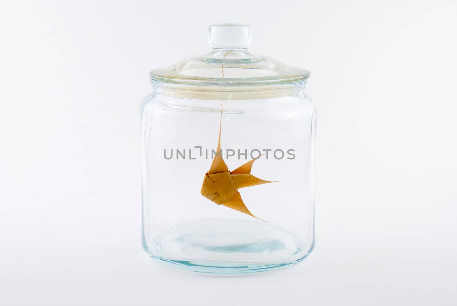 Goldenfish made of leaves in a glass jar