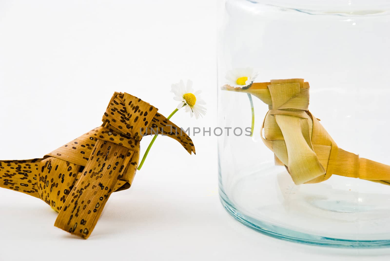 A bird is trying to give a flower to his love