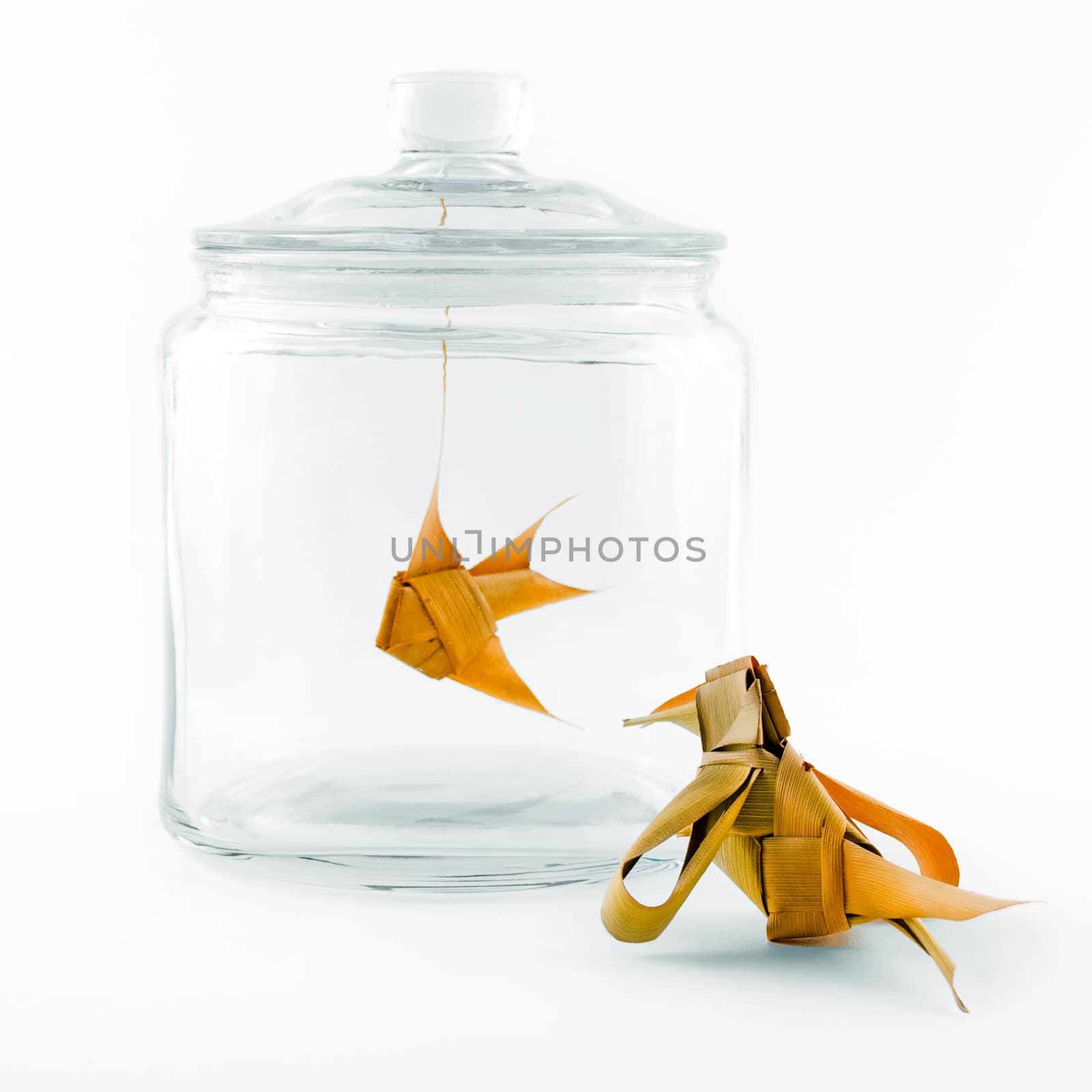 Leaf-made bird looking at a leaf-made fish in a glass jar.