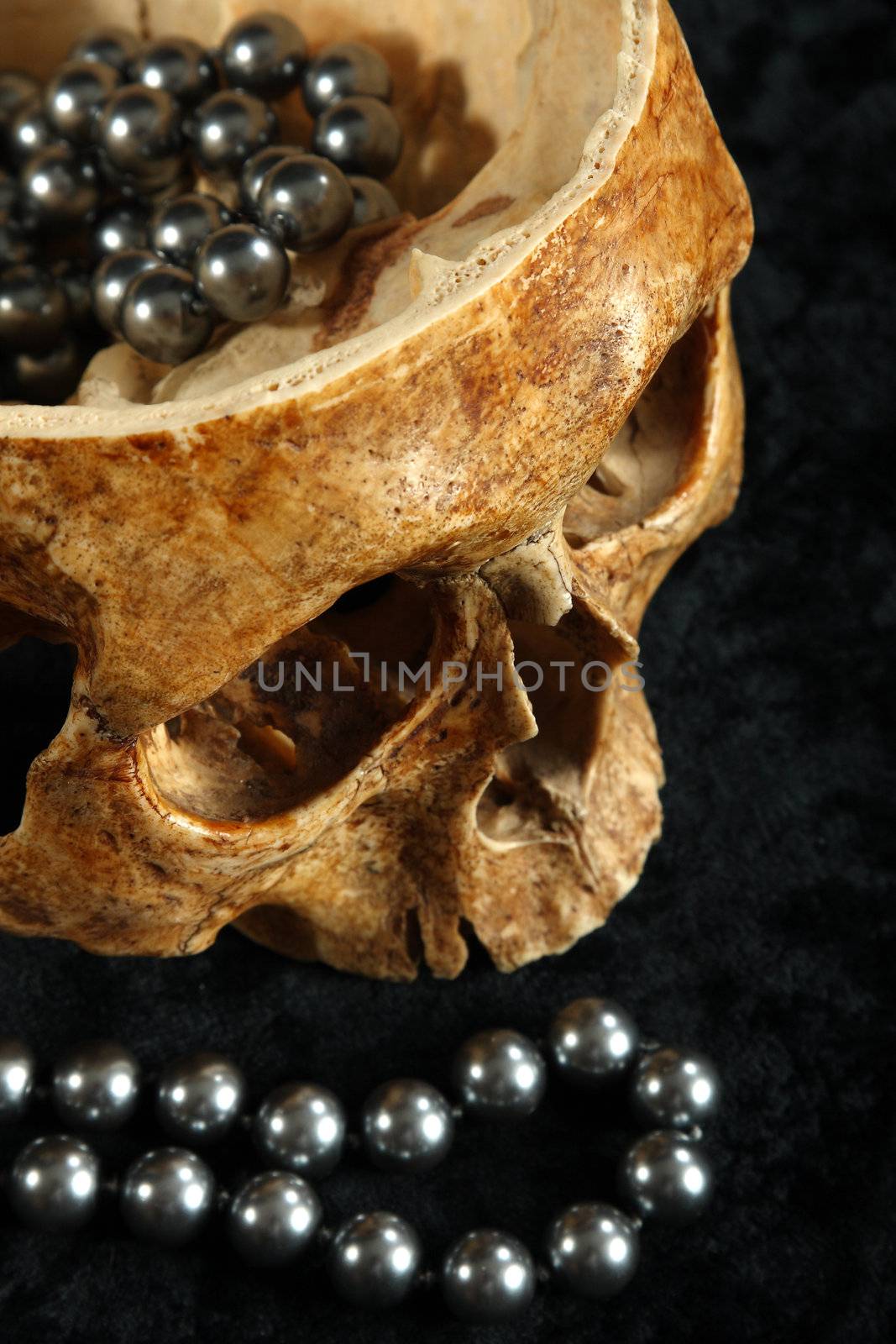 Skull of the person on a black background