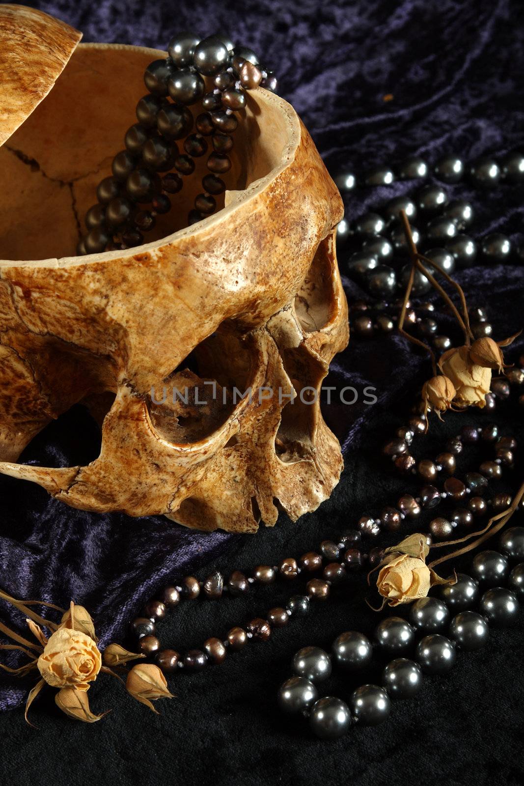 Skull of the person on a black background