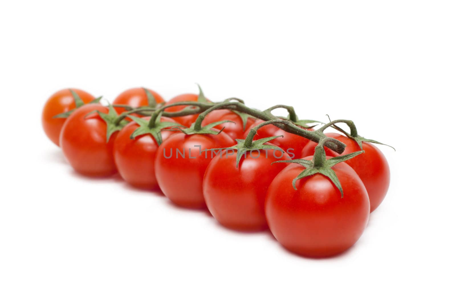 Red tomatoes cherry on green branch insulated on white background