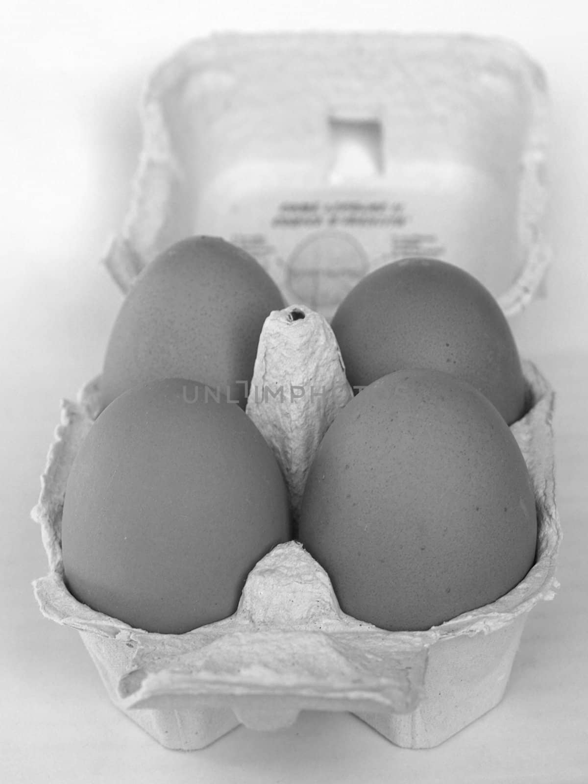 Eggs by claudiodivizia