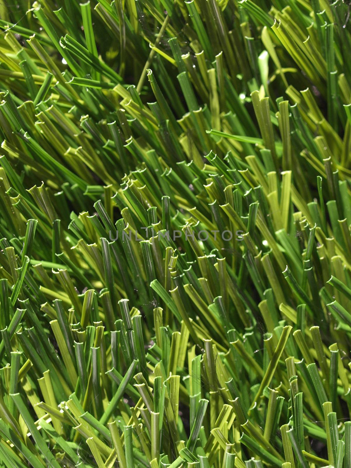 Detail of green grass artificial lawn meadow, useful as a background