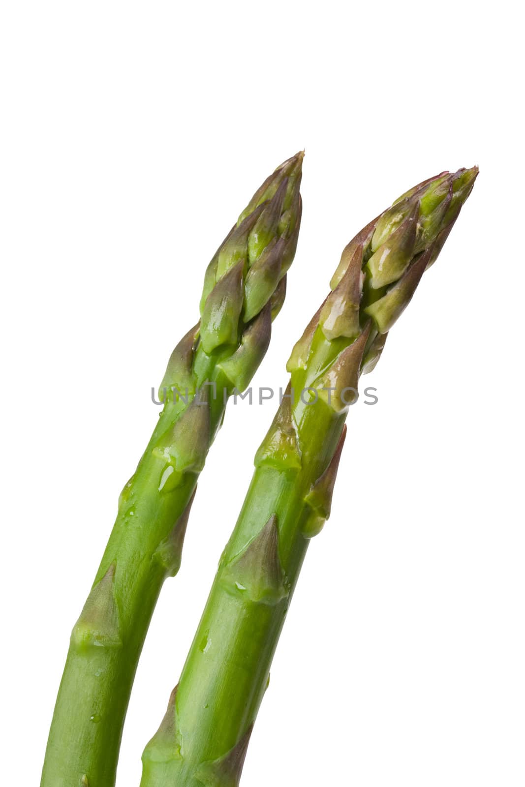 green asparagus isolated on white background by bernjuer