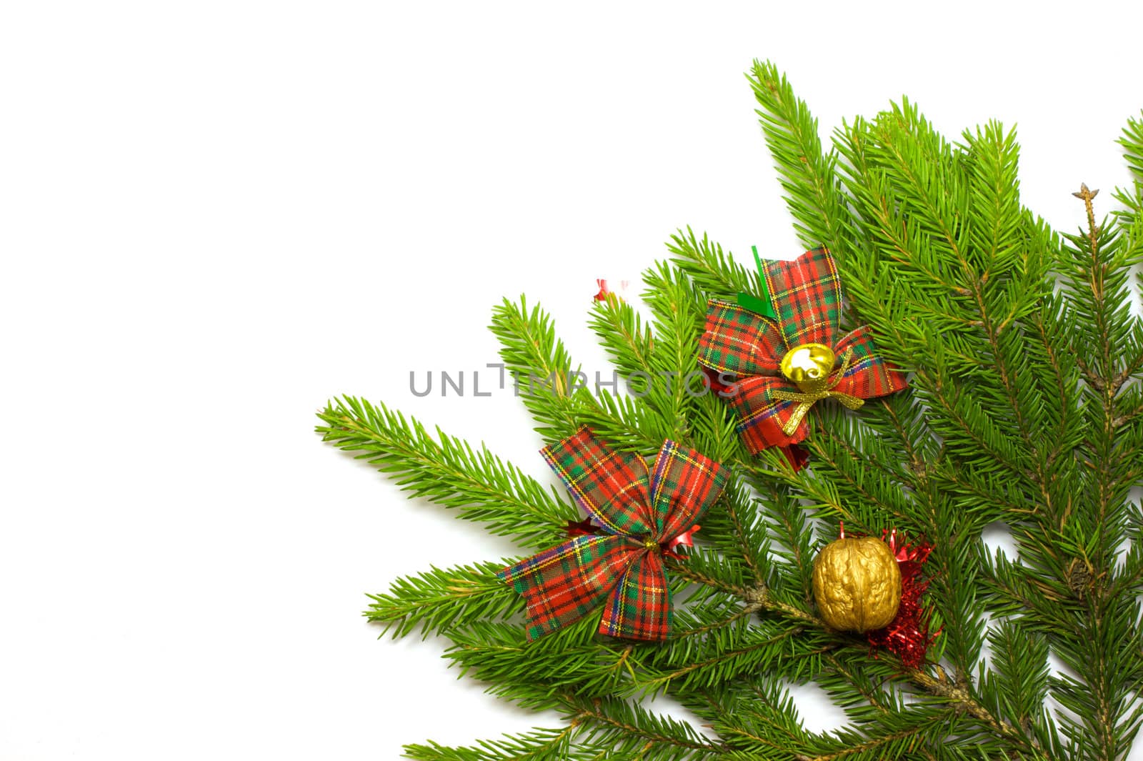 Green fresh spruce branch with decoration isolated on white