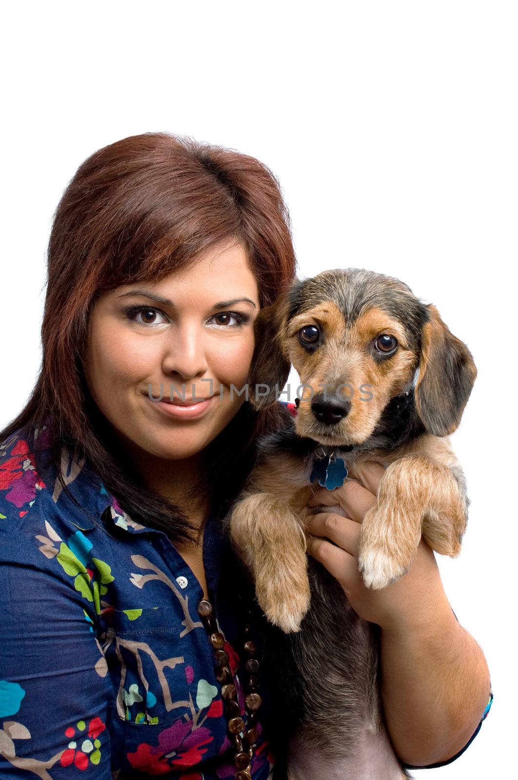 A young woman holding a cute mixed breed puppy isolated on a white background. The dog is half beagle and half yorkshire terrier.