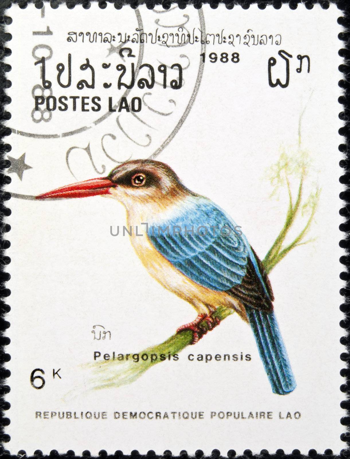 LAOS - circa 1988:stamp features a Stork-billed kingfisher bird (pelargopsis capensis), circa 1988 in the Lao People's Democratic Republic.