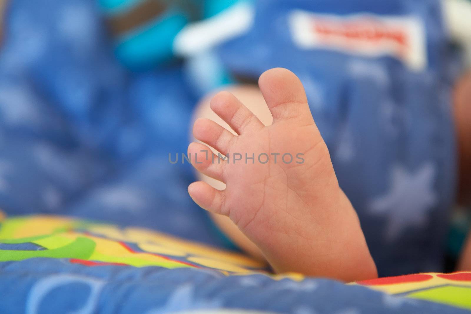 closeup of baby feet by noblige