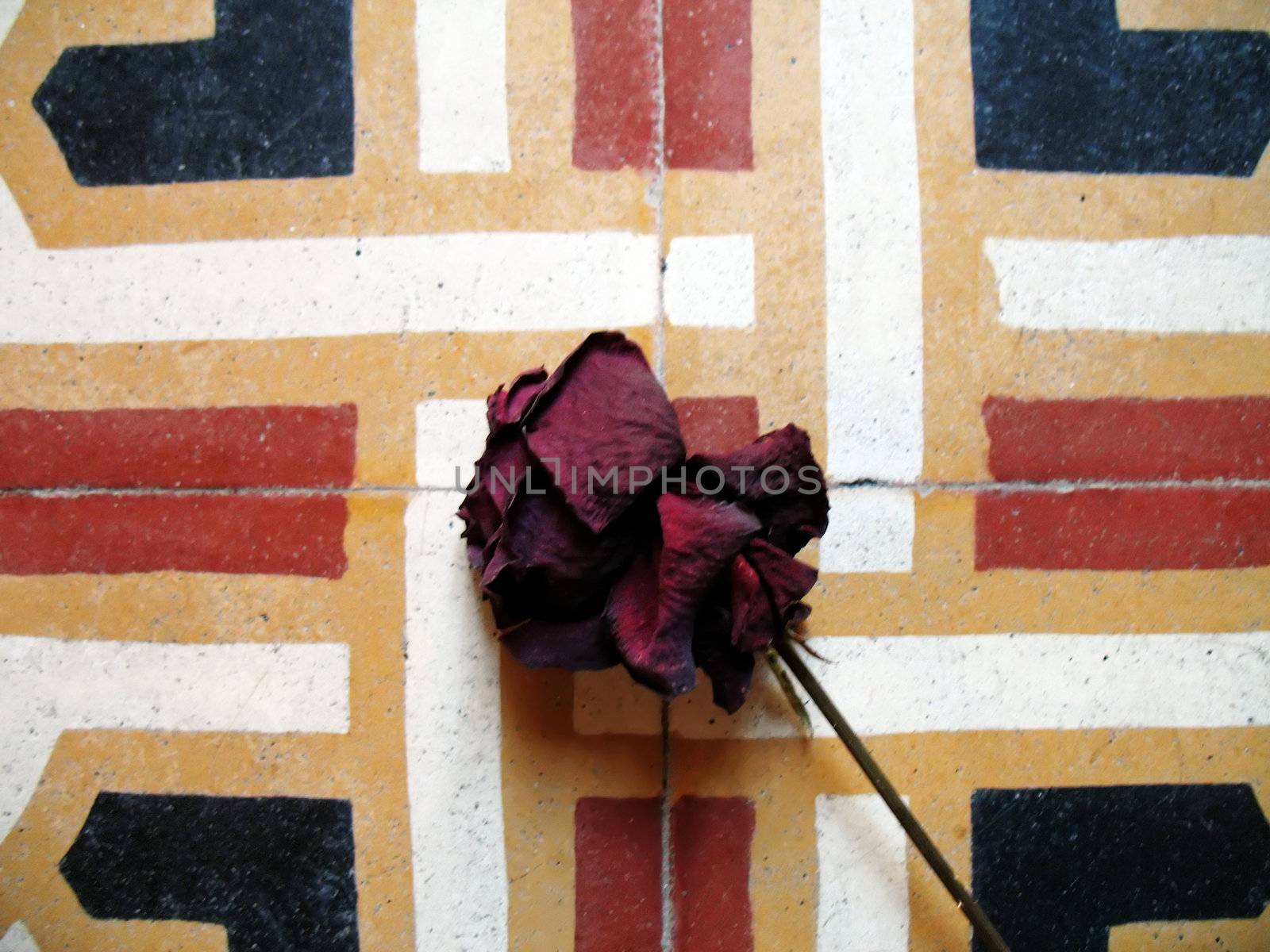 a dry rose on the tiles of an ancient floor