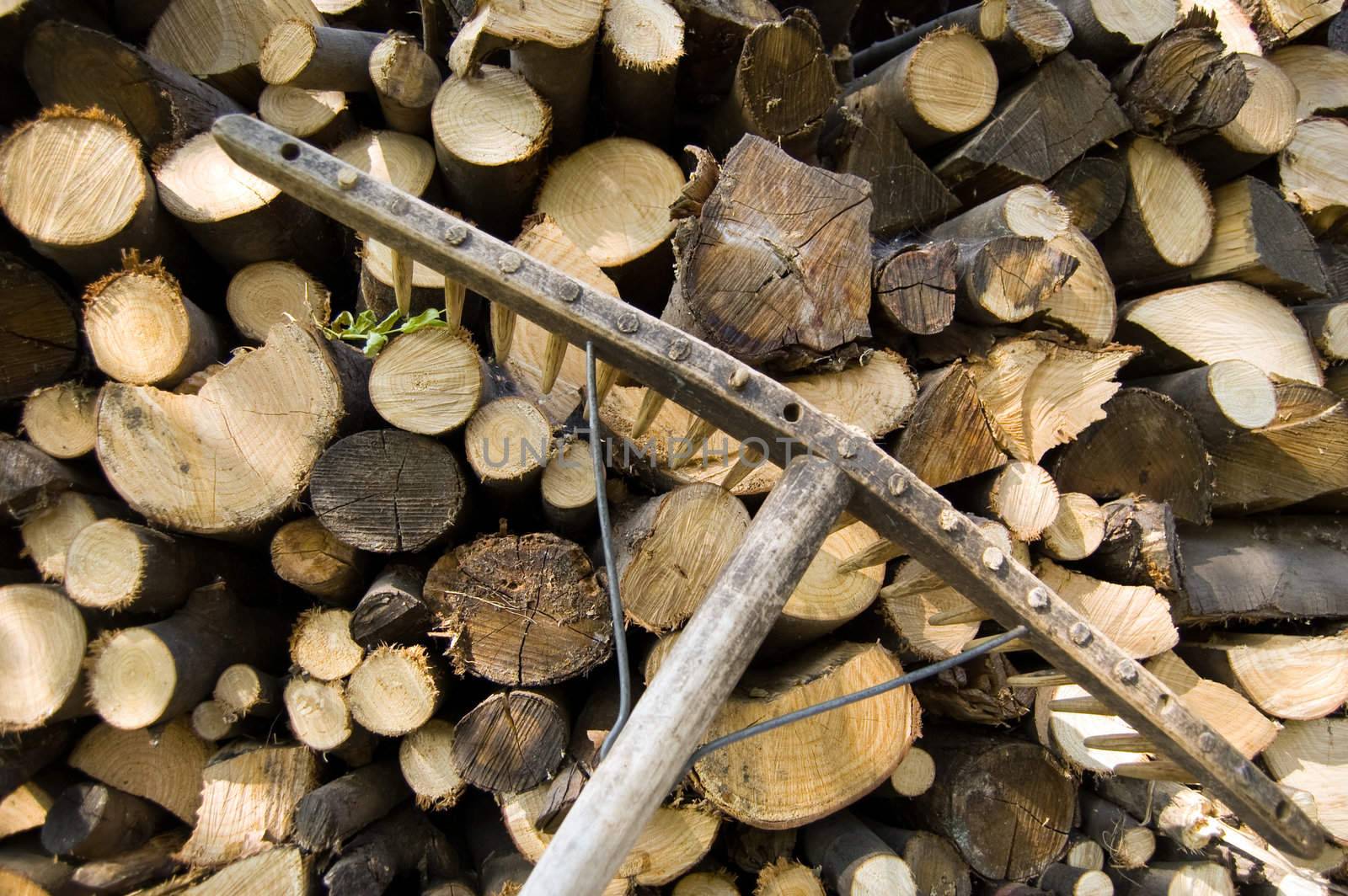 A woodpile of chestnut and beech for stoves and a rake