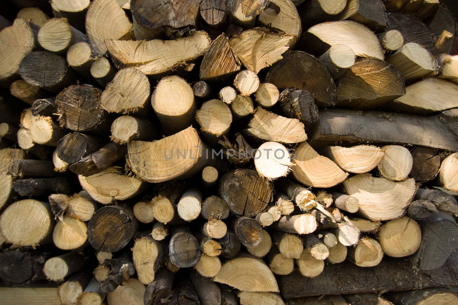 A woodpile of chestnut and beech for stoves