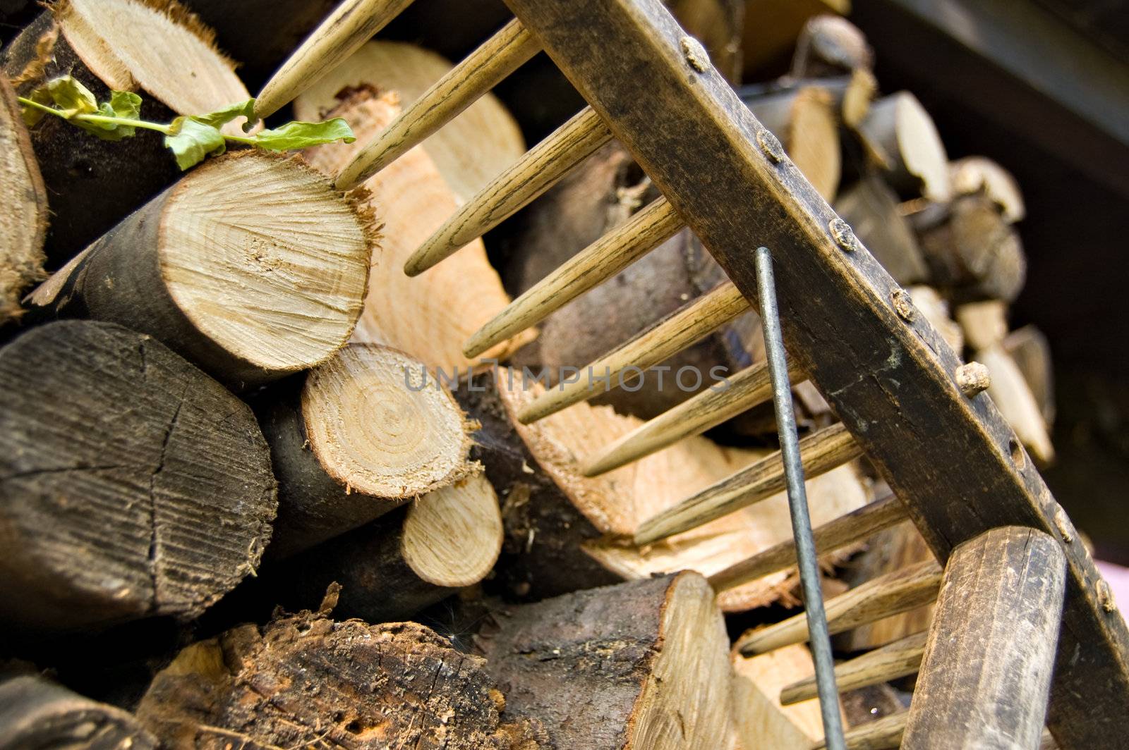 A woodpile of chestnut and beech for stoves and a rake detail