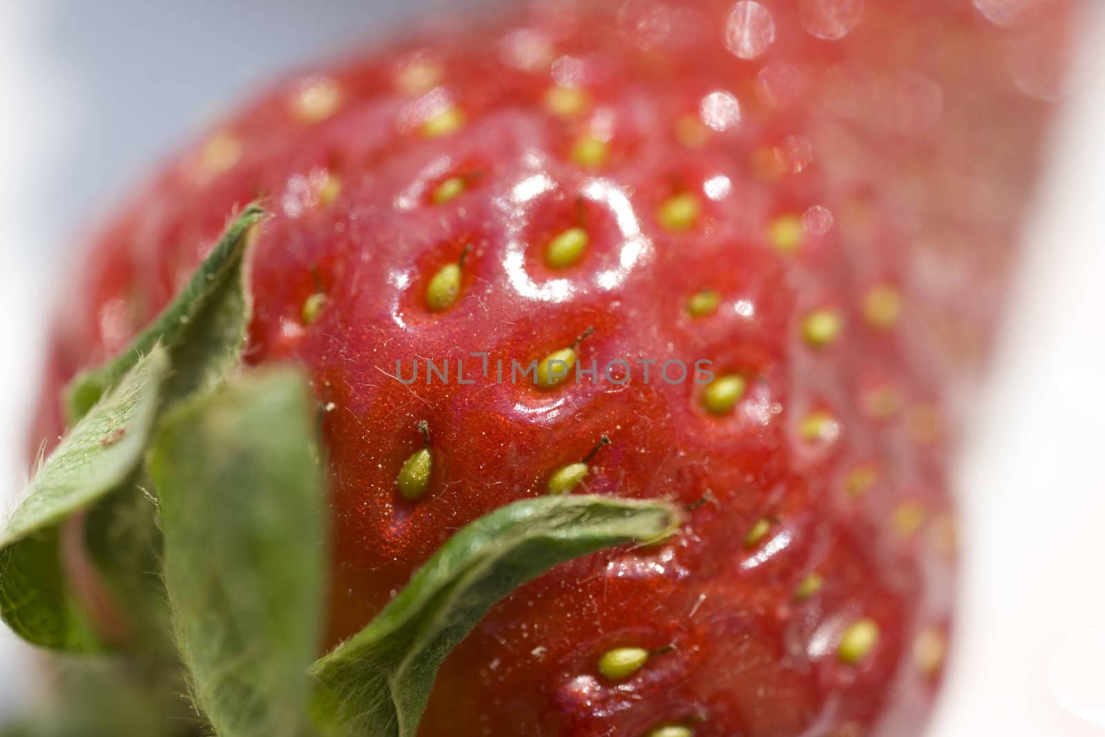 macro red  strawberry against white background