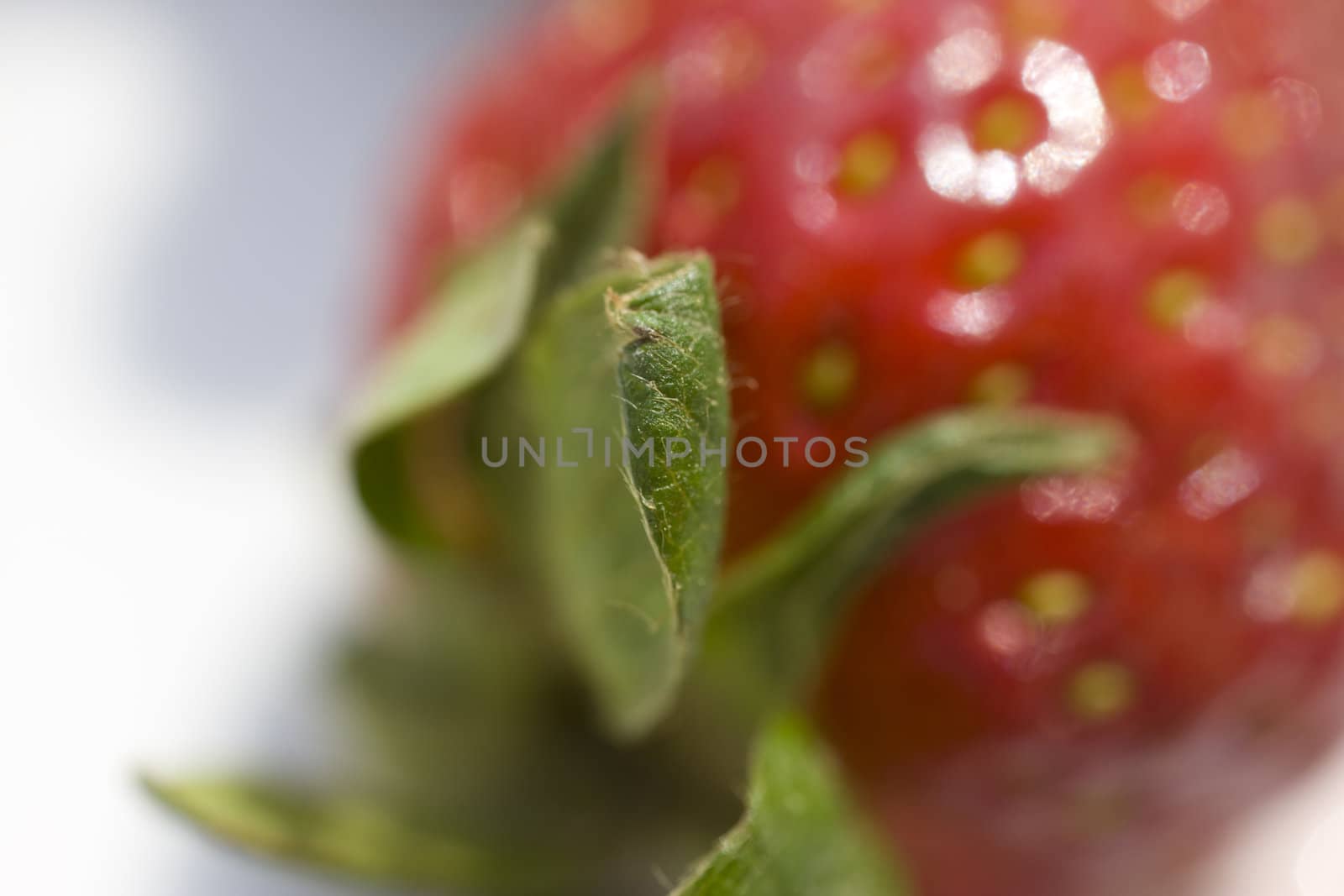 macro red  strawberry against white background