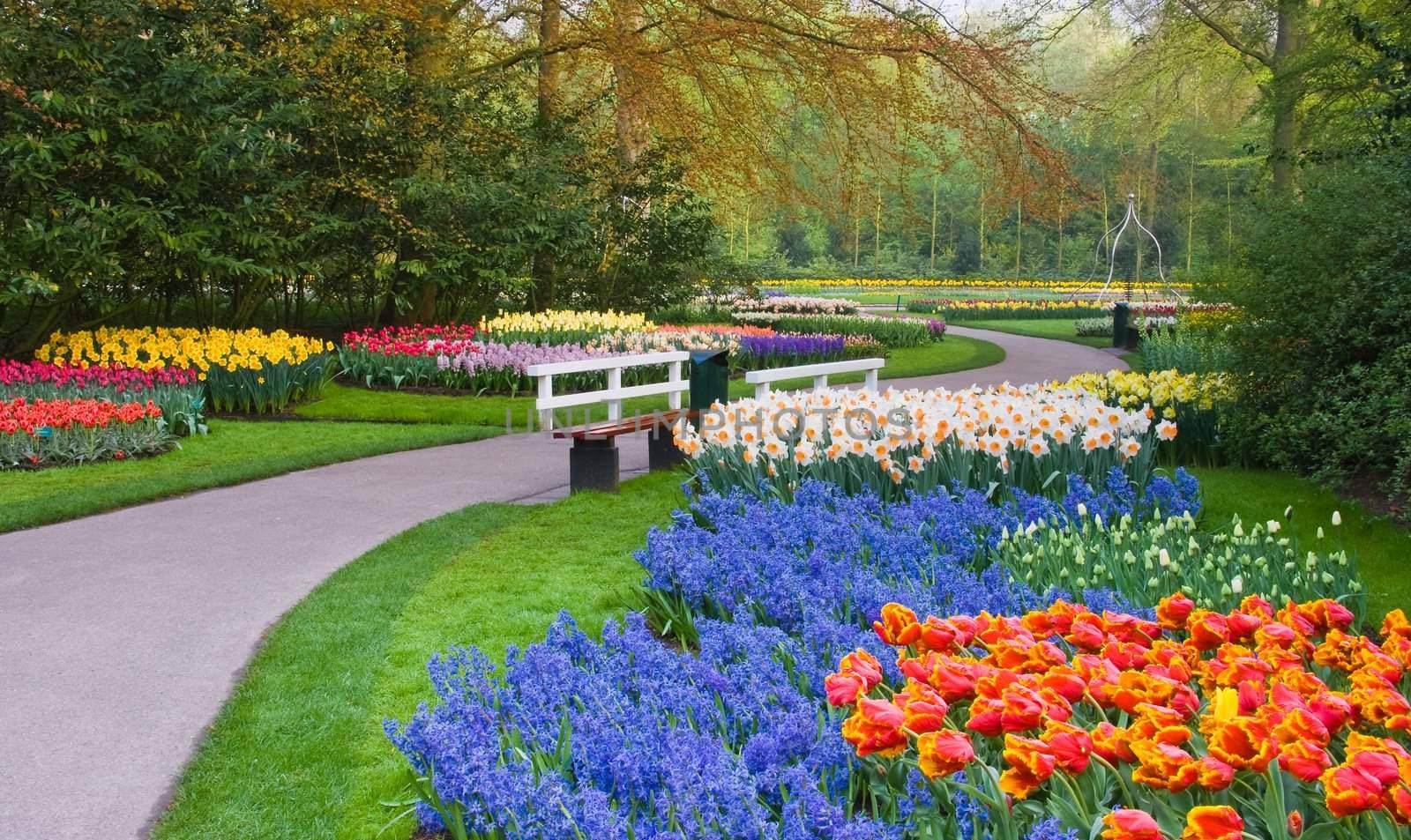 Many spring flowers in many colors on an early april day in the park