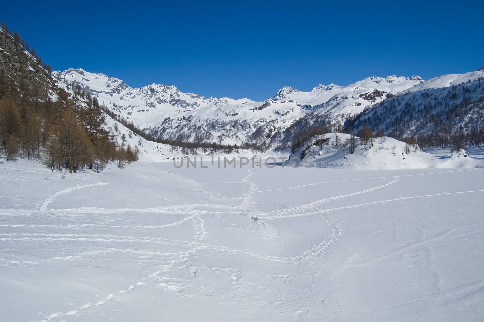 icy alpine lake landscape full of snow; Alps, Italy