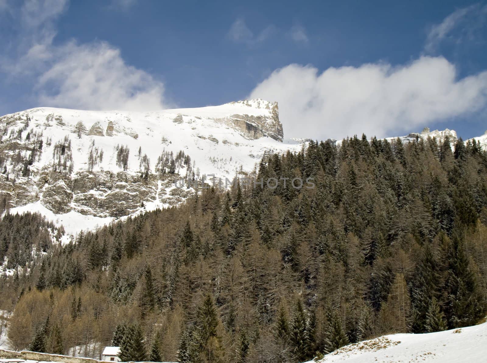 winter landscape with snowy windy rocks and green firs in val d'Ossola, Italy