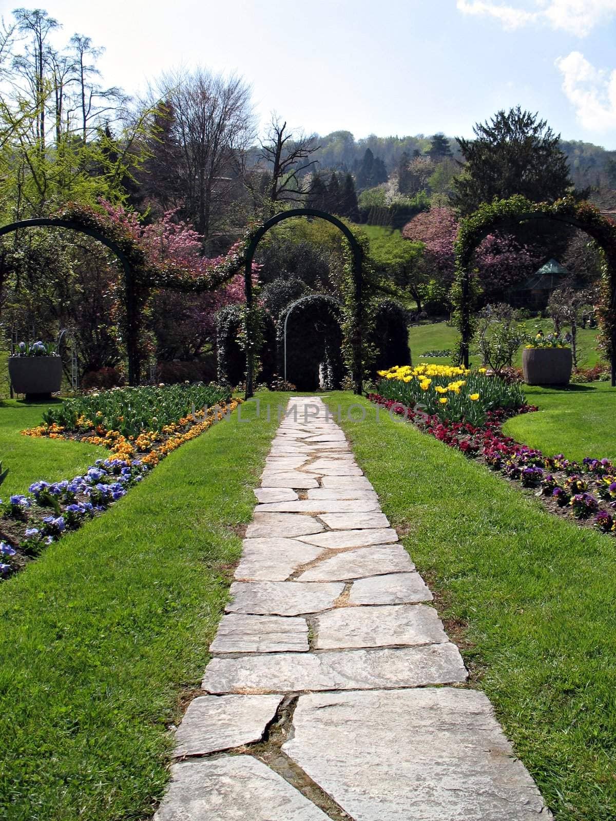 Pathway in a marvellous garden reach of flowers and trees. Lago Maggiore, Italy