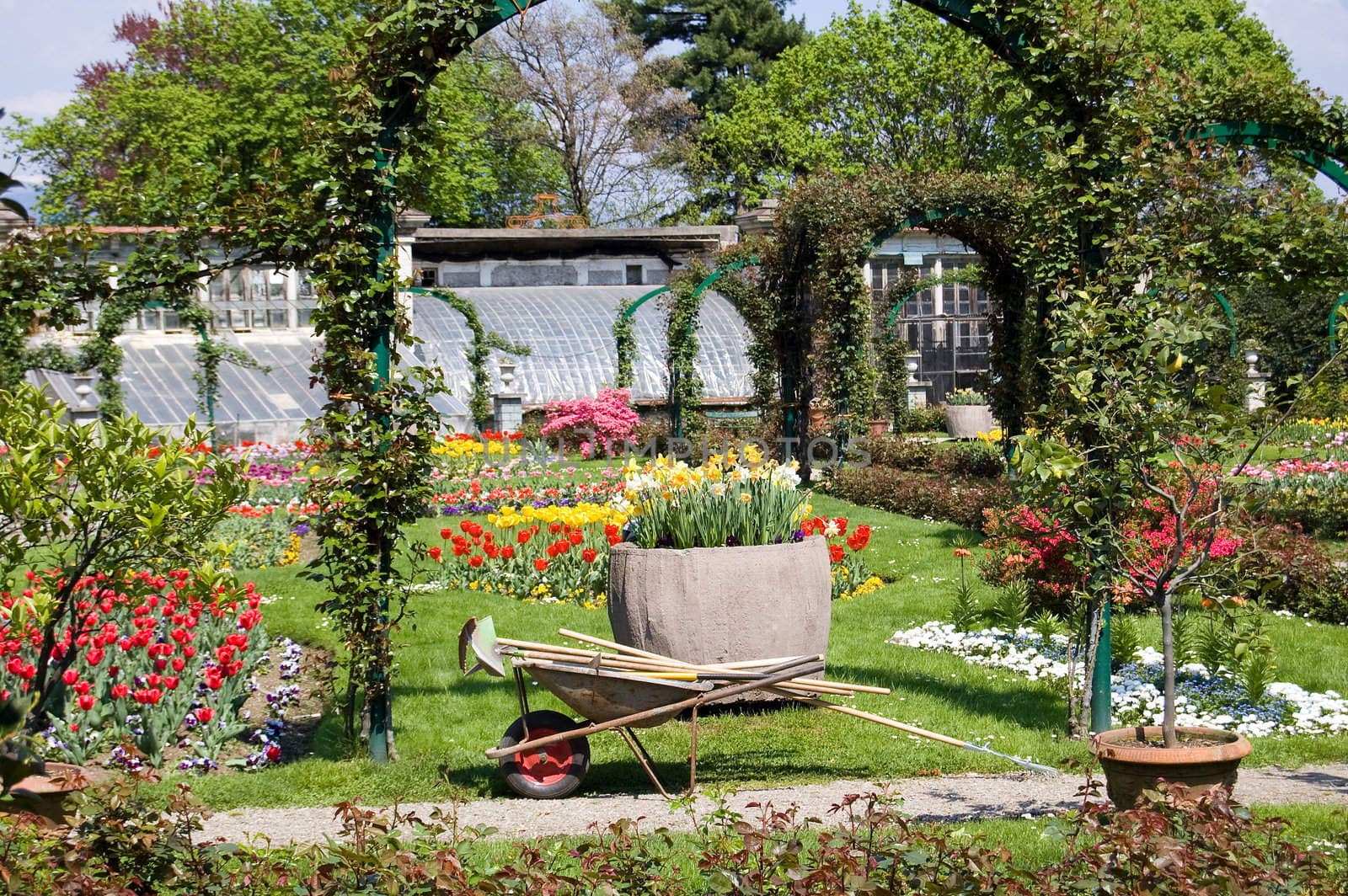 gardening tools in a marvellous garden full of tulips near the Lago Maggiore, Italy